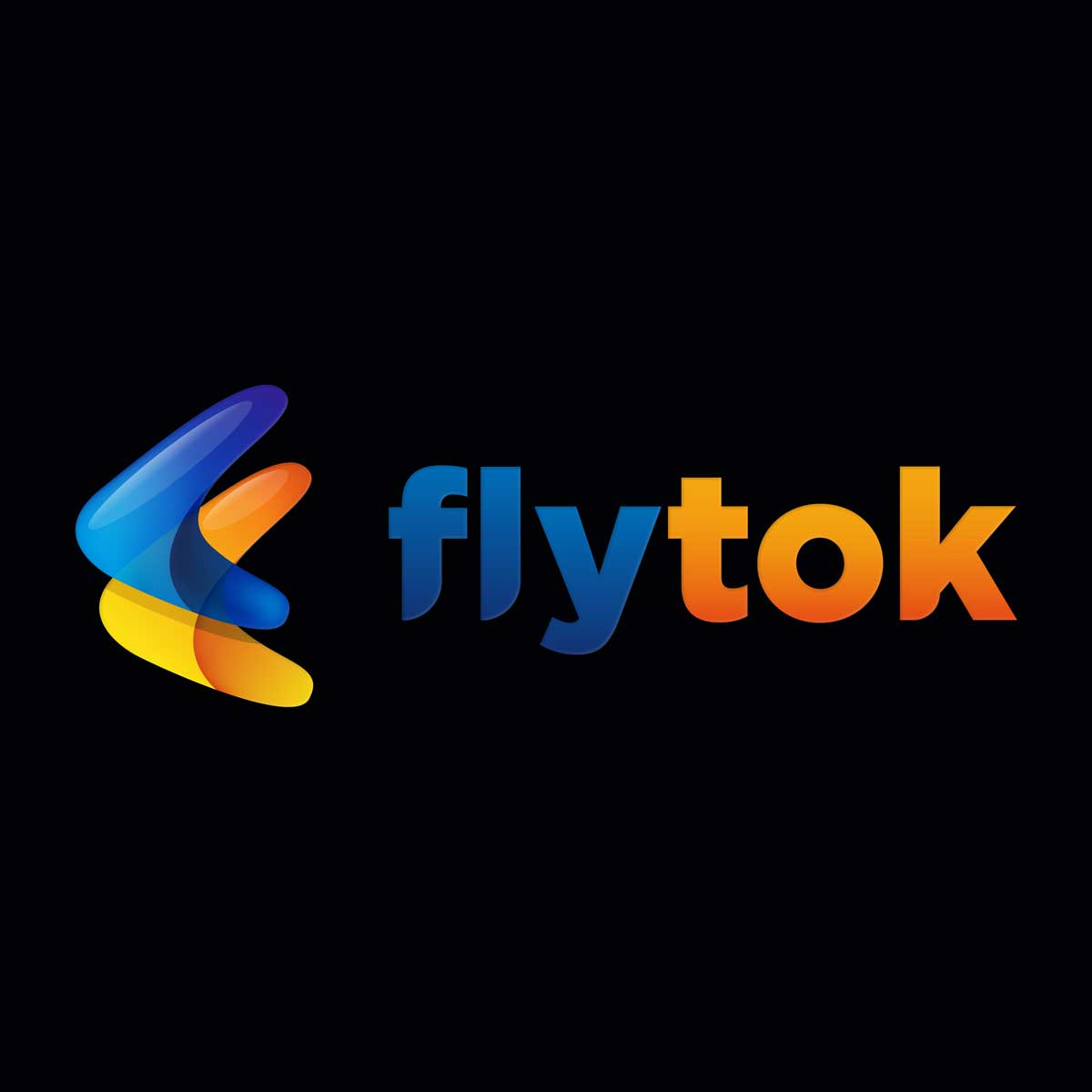 FlyTok Logo