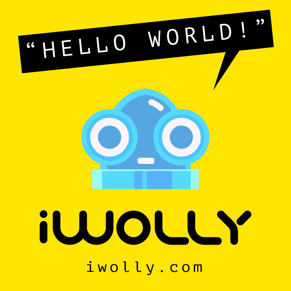 iwolly - Branding design by Brandizle