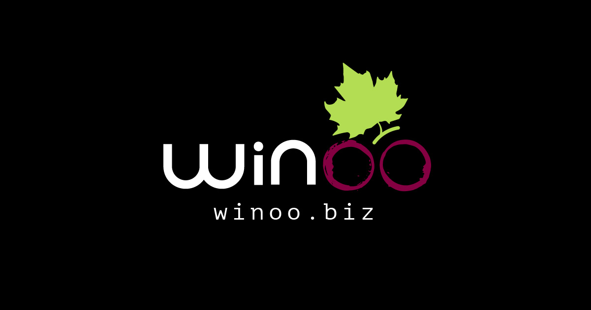 winoo - Brand design by Brandizle