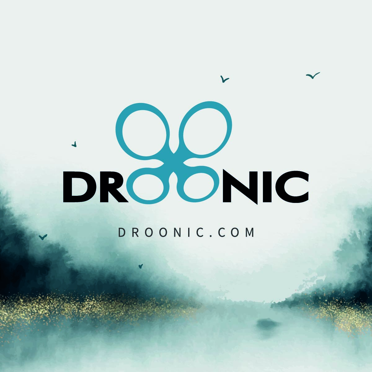 DROONIC - Drone Branding for sale - by Brandizle