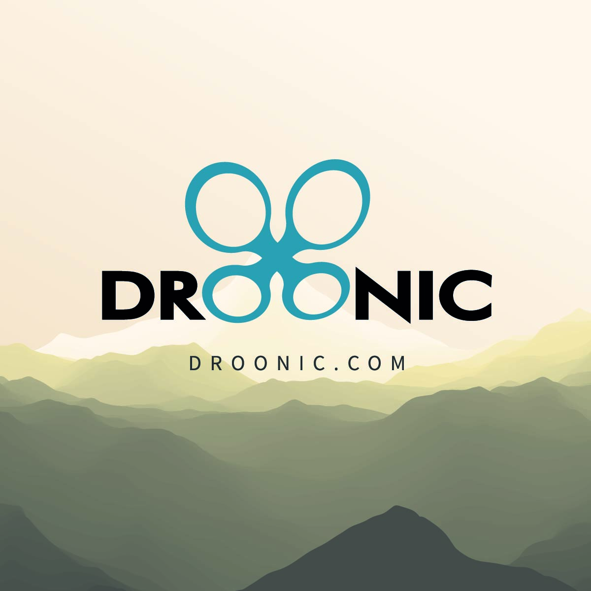DROONIC - Drone Branding for sale - by Brandizle