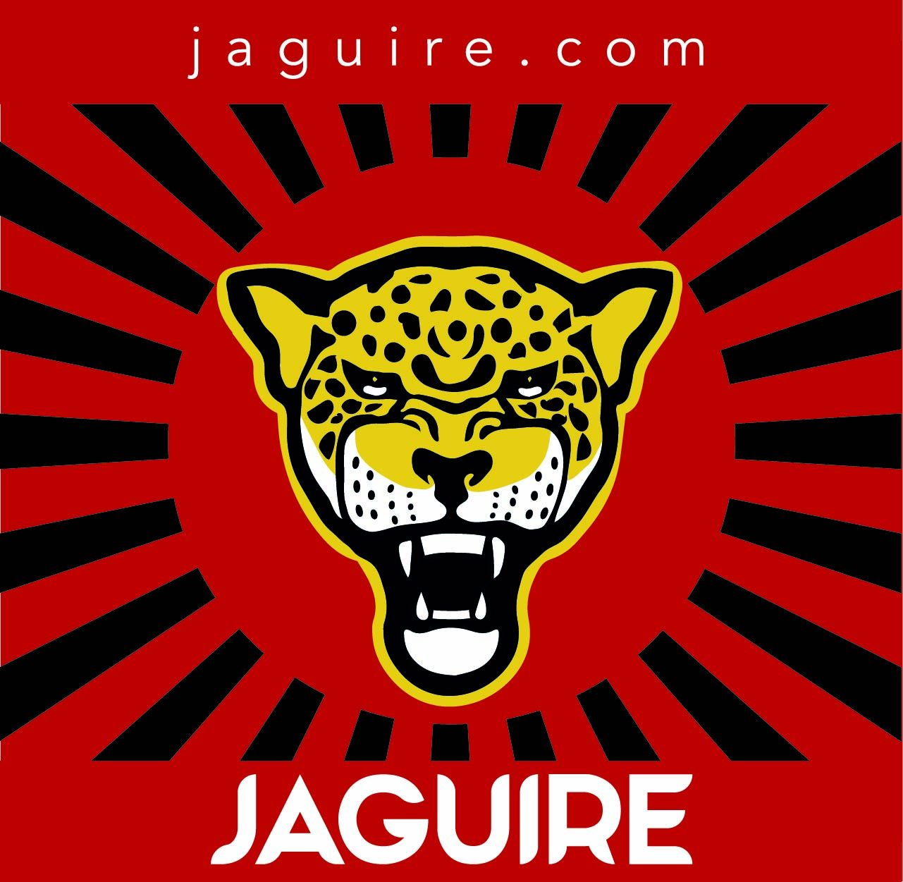 jaguire - Branding Name